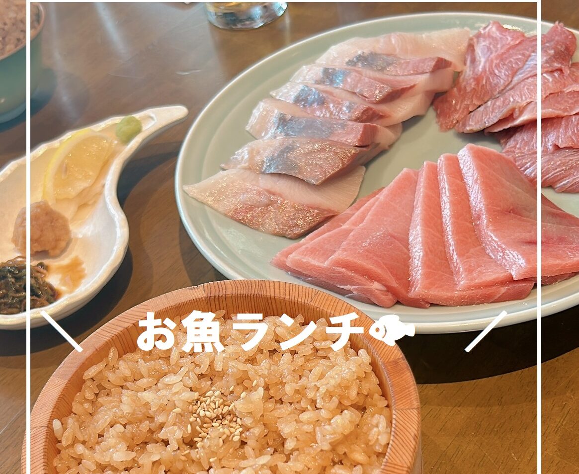 久しぶりのグルメネタ🐟