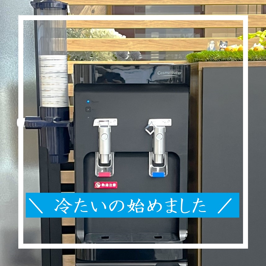 冷たいの始めました